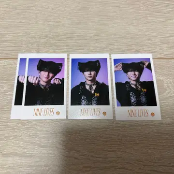 초특급 미니 사진 하루 세트