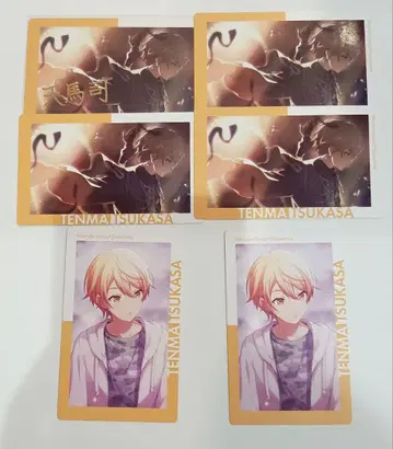 프로세카 츠카사 21A 에피카