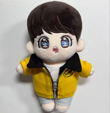 BTS JUNGKOOK 정국 국 봉제 인형 마스터