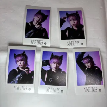 초특급 미니 사진 NINE LIVES 슈야 컴플리트 컴프세트