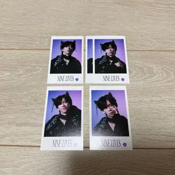 초특급 미니 사진 료가 세미 컴프 세트