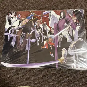 BLEACH EX 클리어 파일 A3 2매 세트