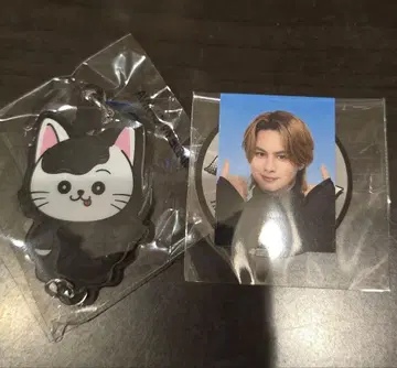 카이누마 류세이 증명사진