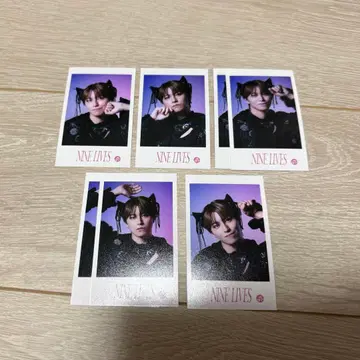 초특급 미니 사진 타카시 컴프세트