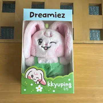 NCT DREAM Dreamiez 재민 Kkyuping