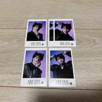 초특급 미니 사진 마사히로 세미 컴프 세트