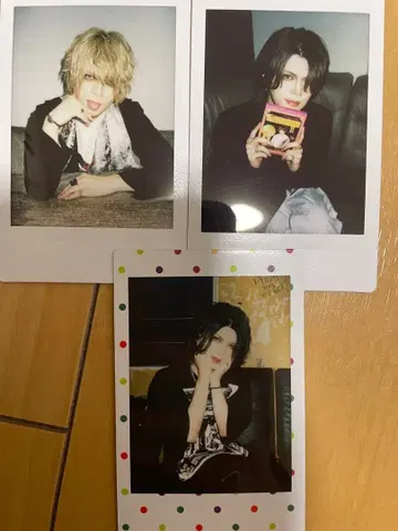 vistlip 토모 폴라로이드