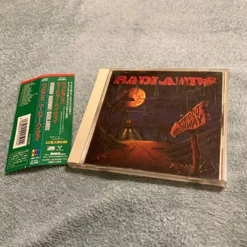 일본 국내반 BADLANDS - VOODOO HIGHWAY