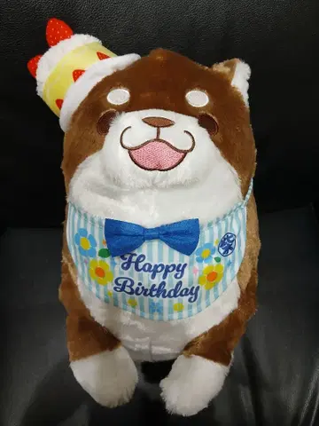 [ 새상품 ] 충견 모치시바 팥 벌스데이 BIG 봉제 인형 택 포함