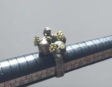 호아시 유스케 깨끗한 일을 걷다 9~10호 실버