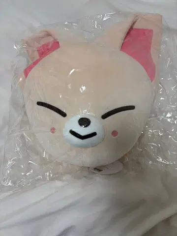 Straykids 아이엔 폭시니 Foxl.Ny 쿠션 스키즈