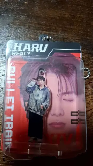 초특급 REAL? 블리스터 키링 하루