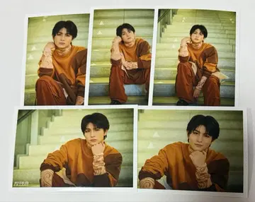 초특급 NINELIVES 브로마이드 B 하루 컴프