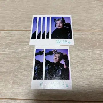 초특급 미니 사진 하와이안 세트