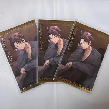 니지산지 사에구사 아키나