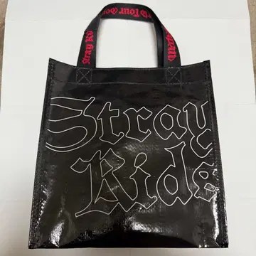 Stray Kids 업그레이드 혜택