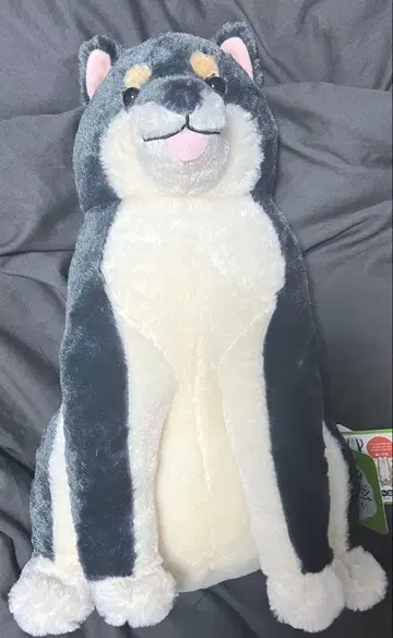 따뜻한 시바견 차차노스케