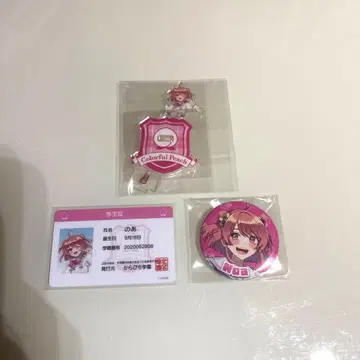 컬러풀 피치 노아 묶음 판매