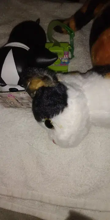 리얼 고양이 봉제 인형과 이기 피규어