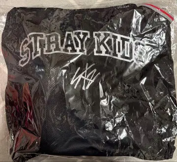 straykids 업그레이드 에코파 굿즈 스키즈 5/10-11