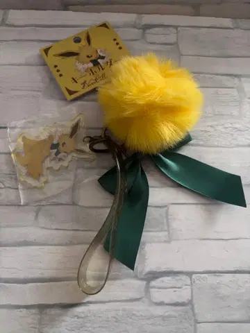 키링 Eevee Collection 썬더