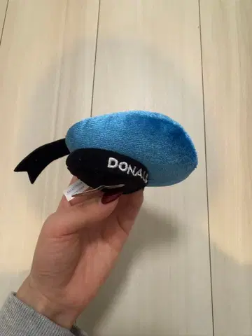 도널드 덕 헤어핀