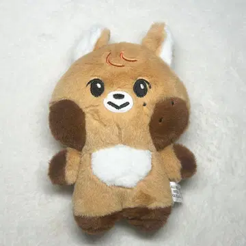 nctdream dreamiez jjopo 해찬 봉제 인형