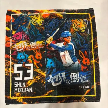 타월 복권 미즈타니 슌