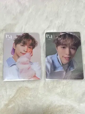 INI 고토 타케루 트레이딩 카드