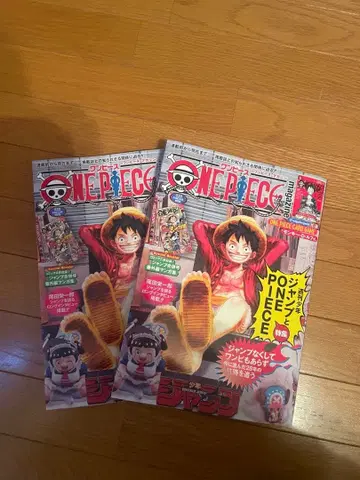 미개봉 새상품 원피스 매거진 020 2권 세트