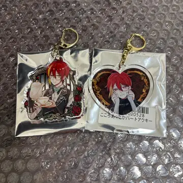 아쿠네코 페네스