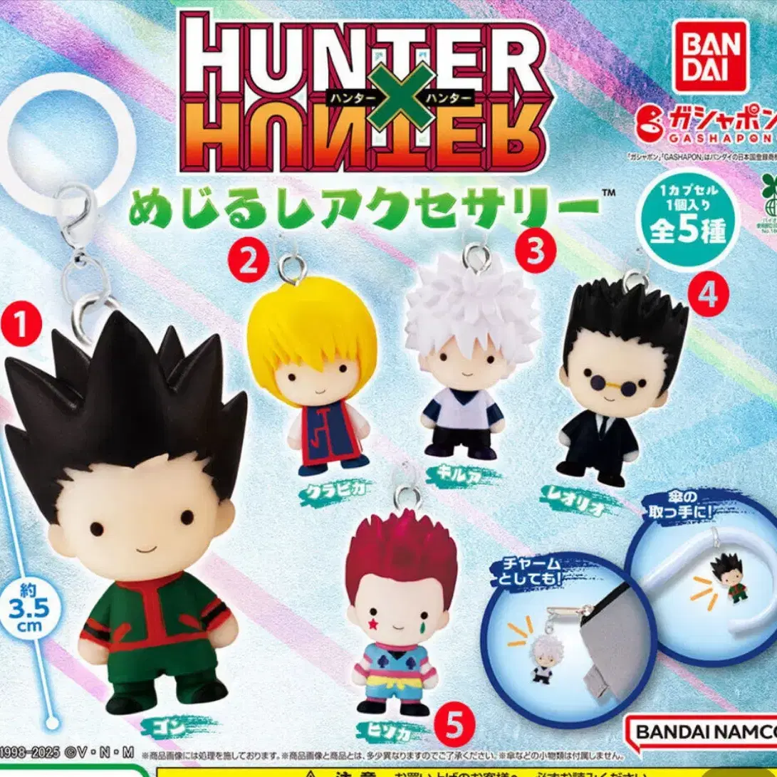 Hunter x Hunter Majirushi Leorio