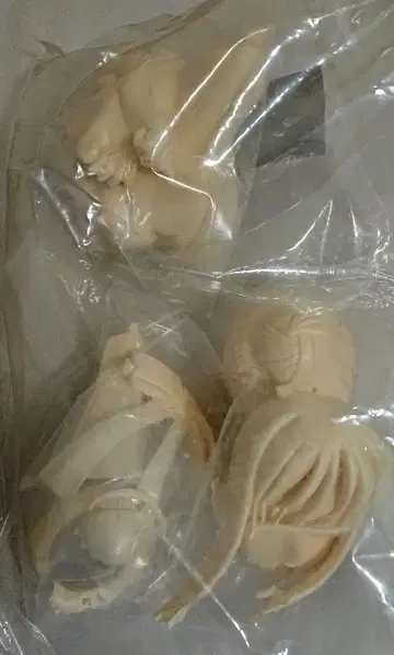 Fate [세이버 흉상] 레진 키트 S-MIST 1/4 스케일