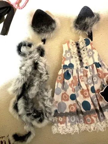 브라이스 아웃핏 세트 인기 작가님