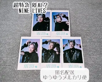 초특급 아로하 미니 사진 NINE LIVES 컴프