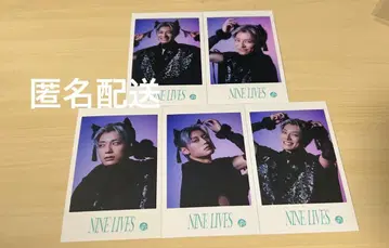 초특급 미니 사진 NINELIVES 컴프 알로하