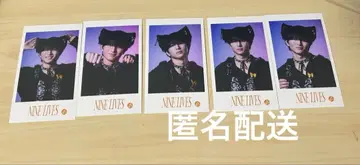 초특급 하루 미니 사진 NINE LIVES 컴프