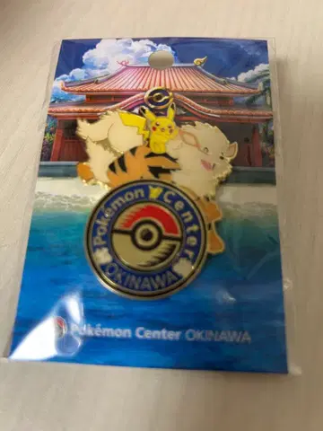 포켓몬 센터 오키나와 윈디 핀즈