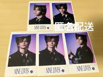 NINE LIVES 초특급 카이 미니 사진 컴프 세트