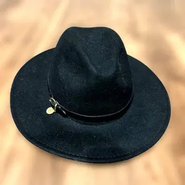 IL BISONTE 블랙 울 햇