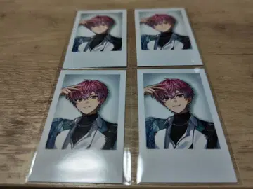 니지산지 스프레아 코우 레오 폴라로이드풍 카드 노멀