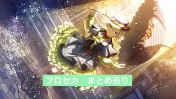 프로세카 묶음 판매