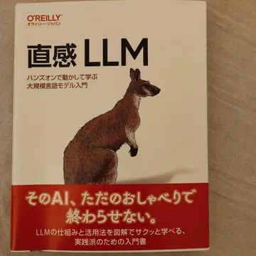 직관 LLM : 핸즈온으로 움직여 배우는 대규모 언어 모델 입문