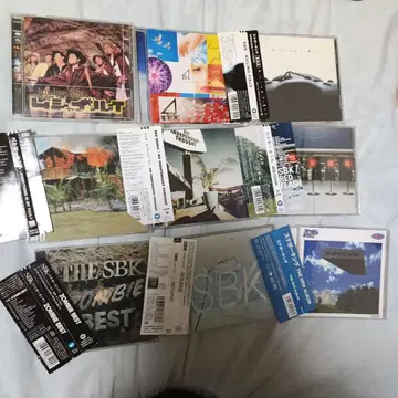 스케이트보드 킹 sbk 앨범 컴플리트