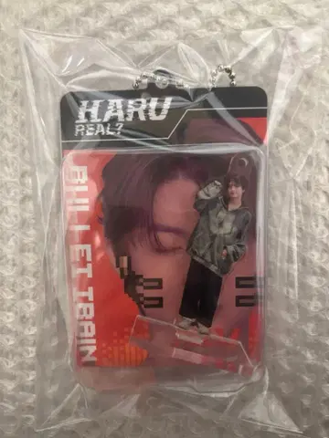 초특급 REAL 하루 랜덤 블리스터 키링 아크릴 스탠드