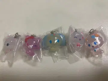 주얼펫 메지루시 액세서리 컴프 세트