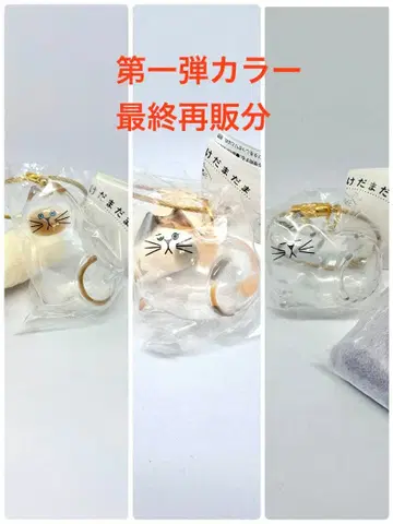 우리 집 고양이 털뭉치 샴 고양이 삼색 고양이 고등어 태비 정품