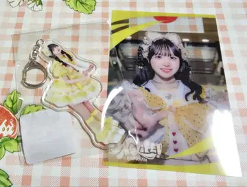 iLiFE! 복권 후쿠마루 우사 아크릴 키링 클리어 카드 세트