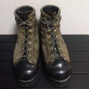 대너 비스마르크