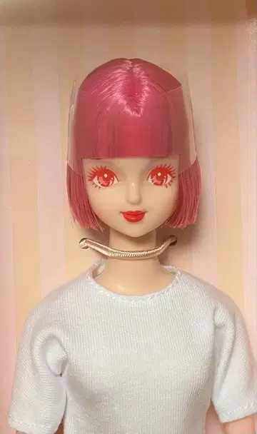 사야카 리카짱 캐슬 인형쇼 DS 모델 인형 제니 프렌드